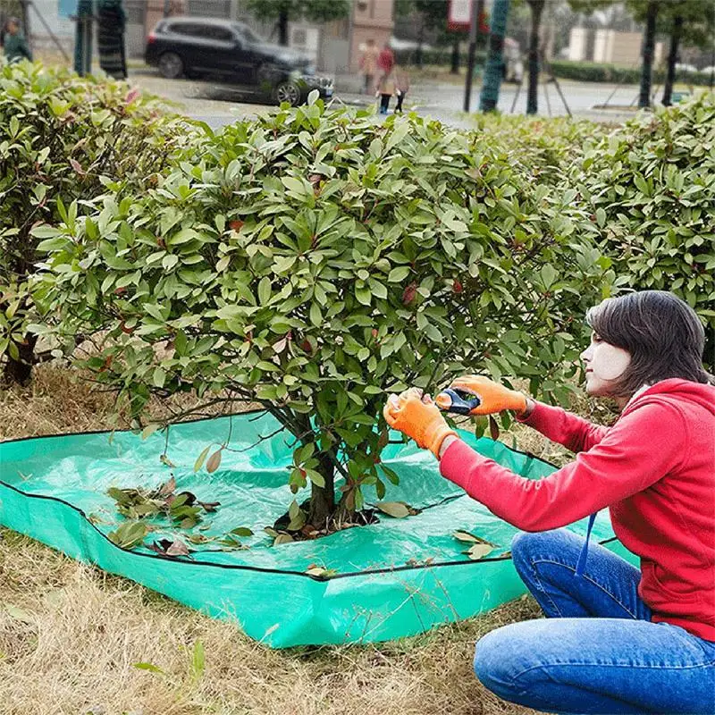 

Landscape Tarp For Trimming Garden Tree Trimming Tarp With 4 Corners Corner Buckle To Stand & Secure Around Trees And Shrubs