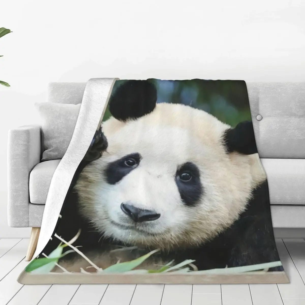 

Fubao Aibao Panda Fu Bao Blanket Winter Warmth Flannel Fleece Throw Blankets for Easy Care Machine Sofa
