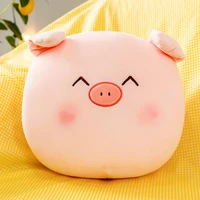 hand warmer cushion breathable no stuffiness non shedding vibrant stuffed pig plush toy for sofa decor