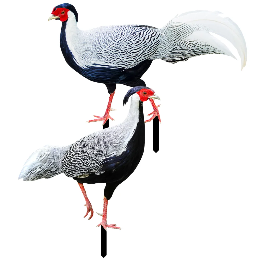 

2 Pcs Pheasant Garden Decoration Outdoor Statue Acrylic Lawn Ornament Stake Yard Sign Accessory Stakes Chicken