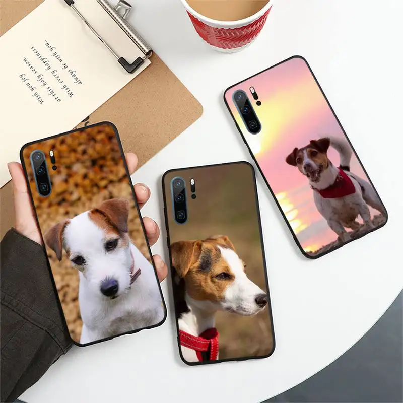 

Cute dog Jack Russell Terrier Phone Case For Huawei honor Mate 10 20 30 40 i 9 8 pro x Lite P smart 2019 Y5 2018 nova 5t