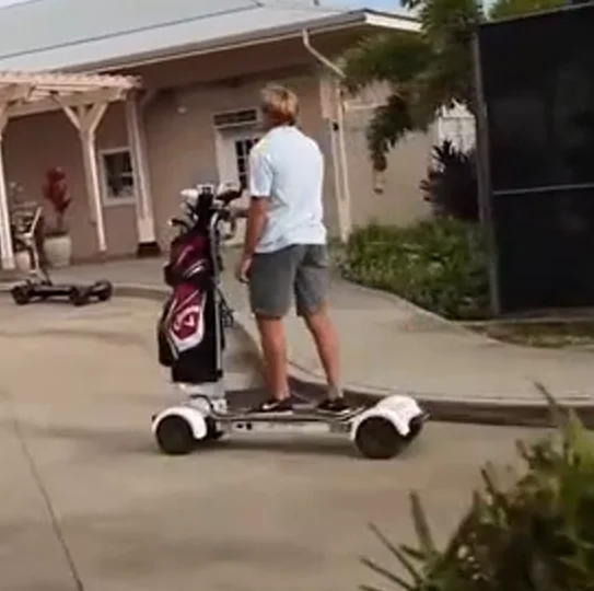 Классический винтажный велосипед для гольфа EEC COC 1000 Вт Электрический скутер