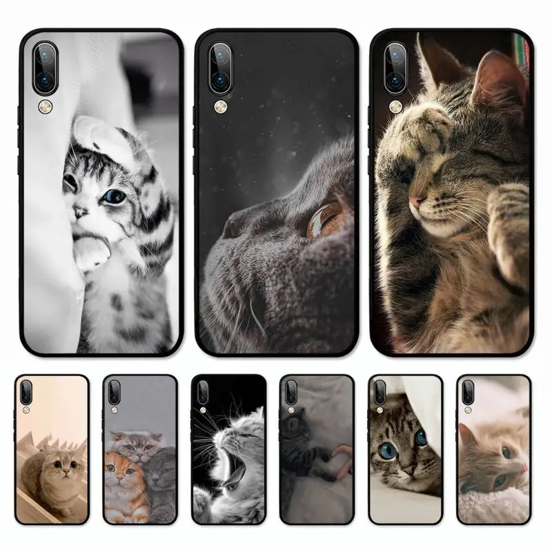 

Cute Cat Phone Case for Vivo Y91C Y11 17 19 17 67 81 Oppo A9 2020 Realme c3