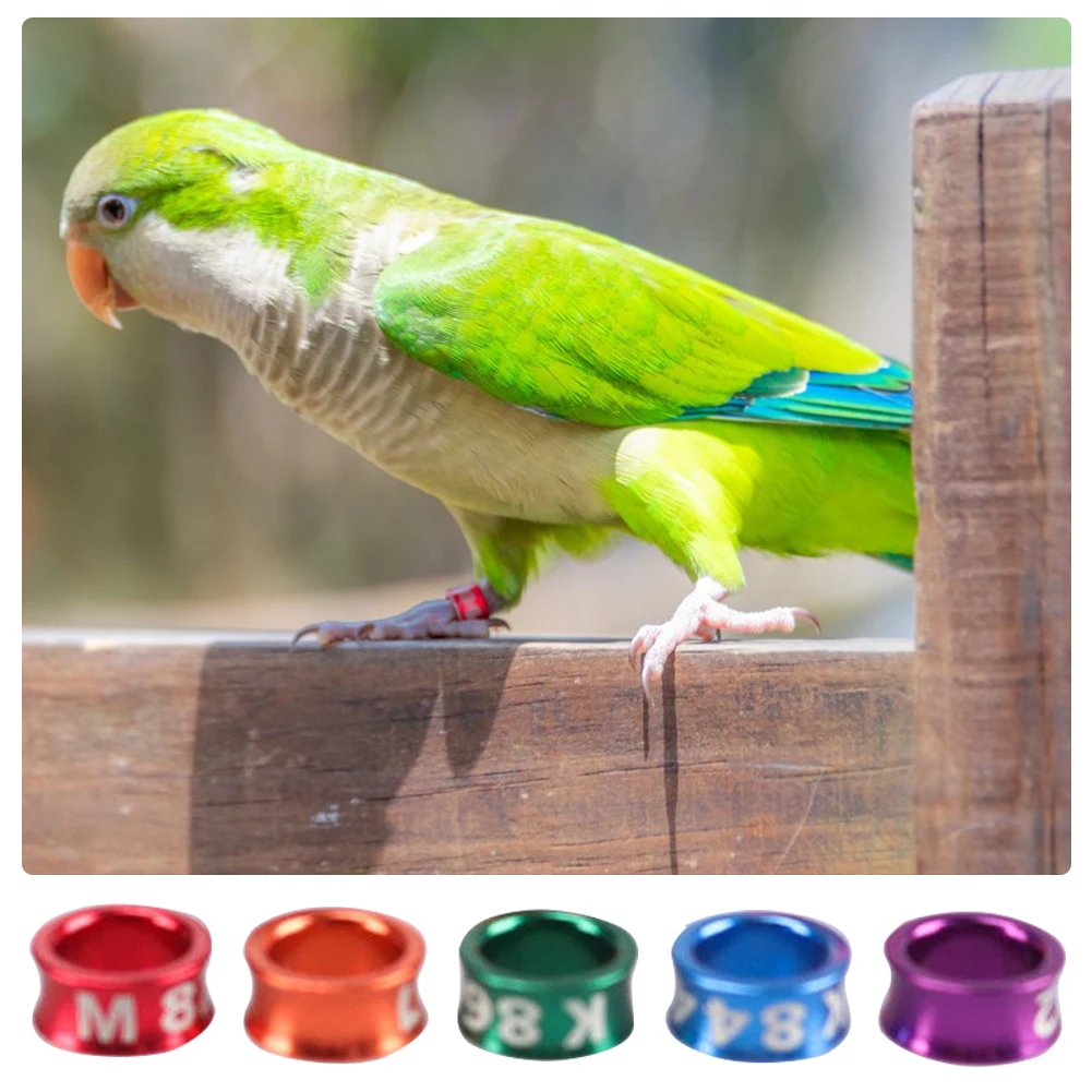 Aluminum Bird Parrots Foot Ring Pigeons With Numbered Outdoor Flight Training Tool Competition Identification Label |