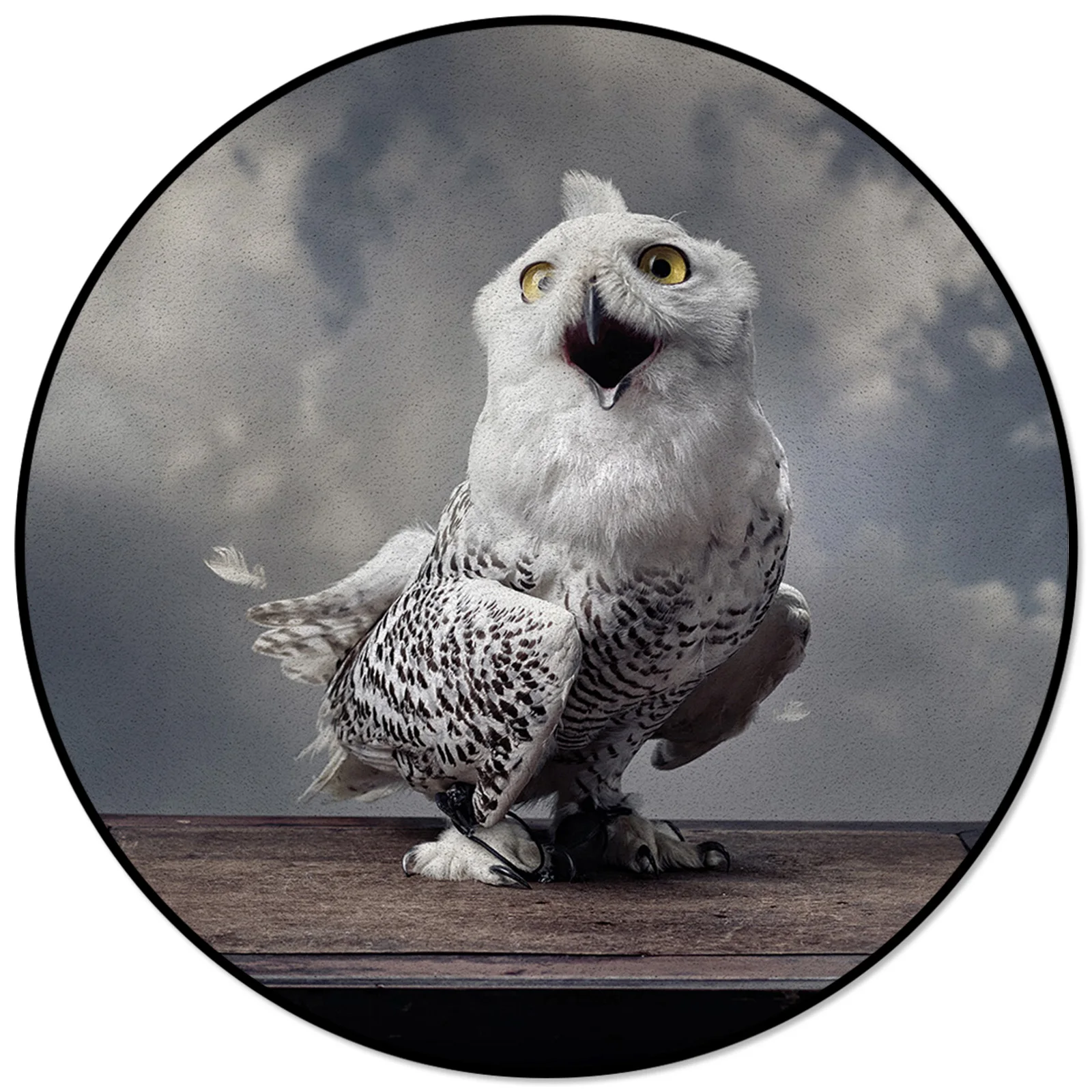 

Owl Magic Books Retro Rugs And Carpets For Home Living Room Round Rug For Children Rooms Non-slip