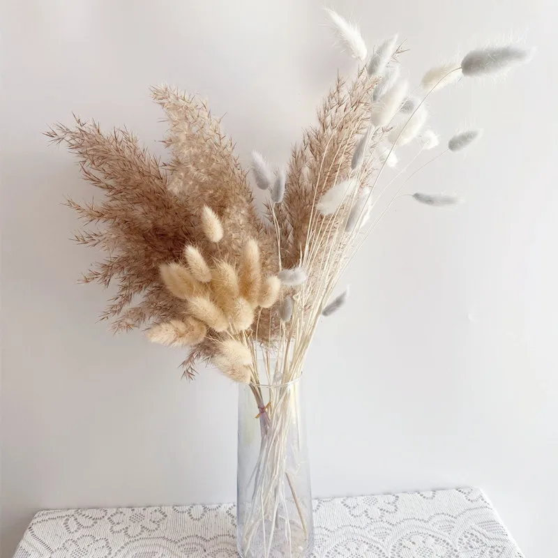 

30PcsRabbit Tail Natural Dried Flower Mini Pampas Grass Bunch Real Bouquet Flower for Photo Props Home dried flower arrangement