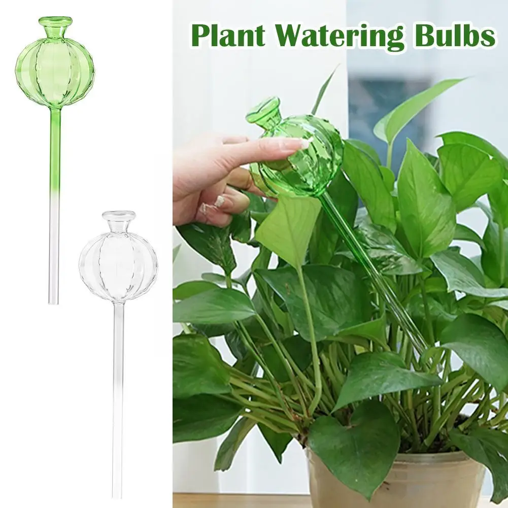 

Glass Plant Flowers Water Feeder Automatic Self Watering Garden Pot Watering Tools Home Indoor Devices Cactus Sprinkler Law W2J2