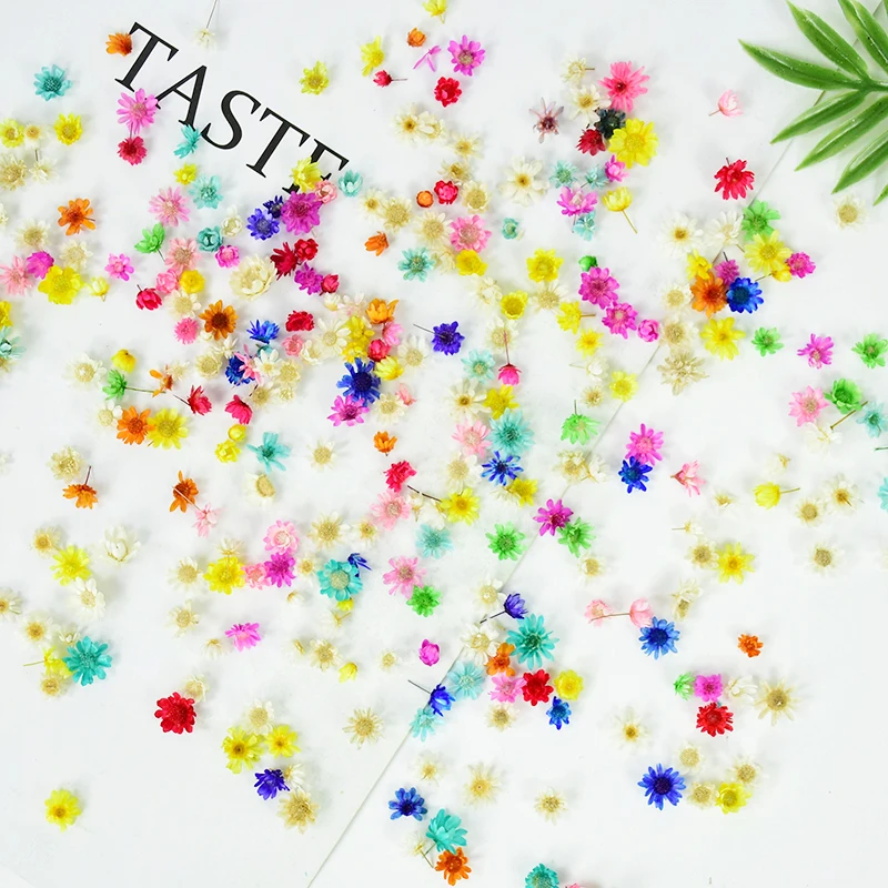

5-12mm Dried Flowers Head DIY Art Craft Epoxy Resin Candle Making Jewellery Natural Nail Art Decorative Home Party Flower Decor