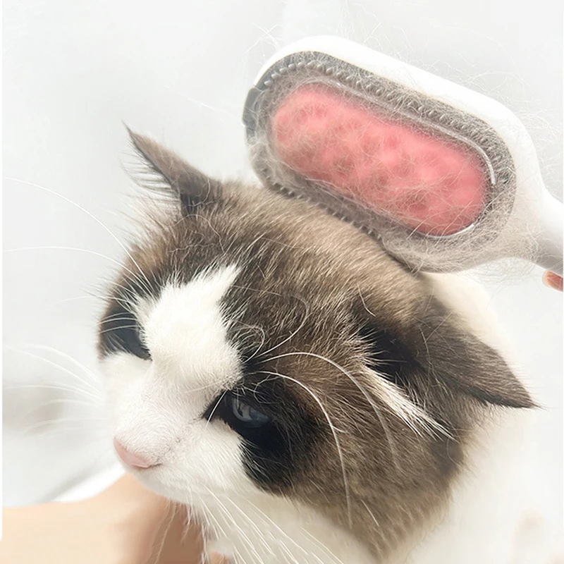 

Pet Grooming Brush Cat and Dog Double Sided Comb to Remove Floating Hair Sticky Hair Disposable Wipes Pet Cleaning Supplies