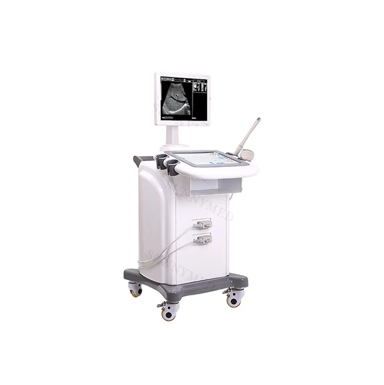 

SY-A019 Hospital Standard Black white Trolley Ultrasound Scanner Price