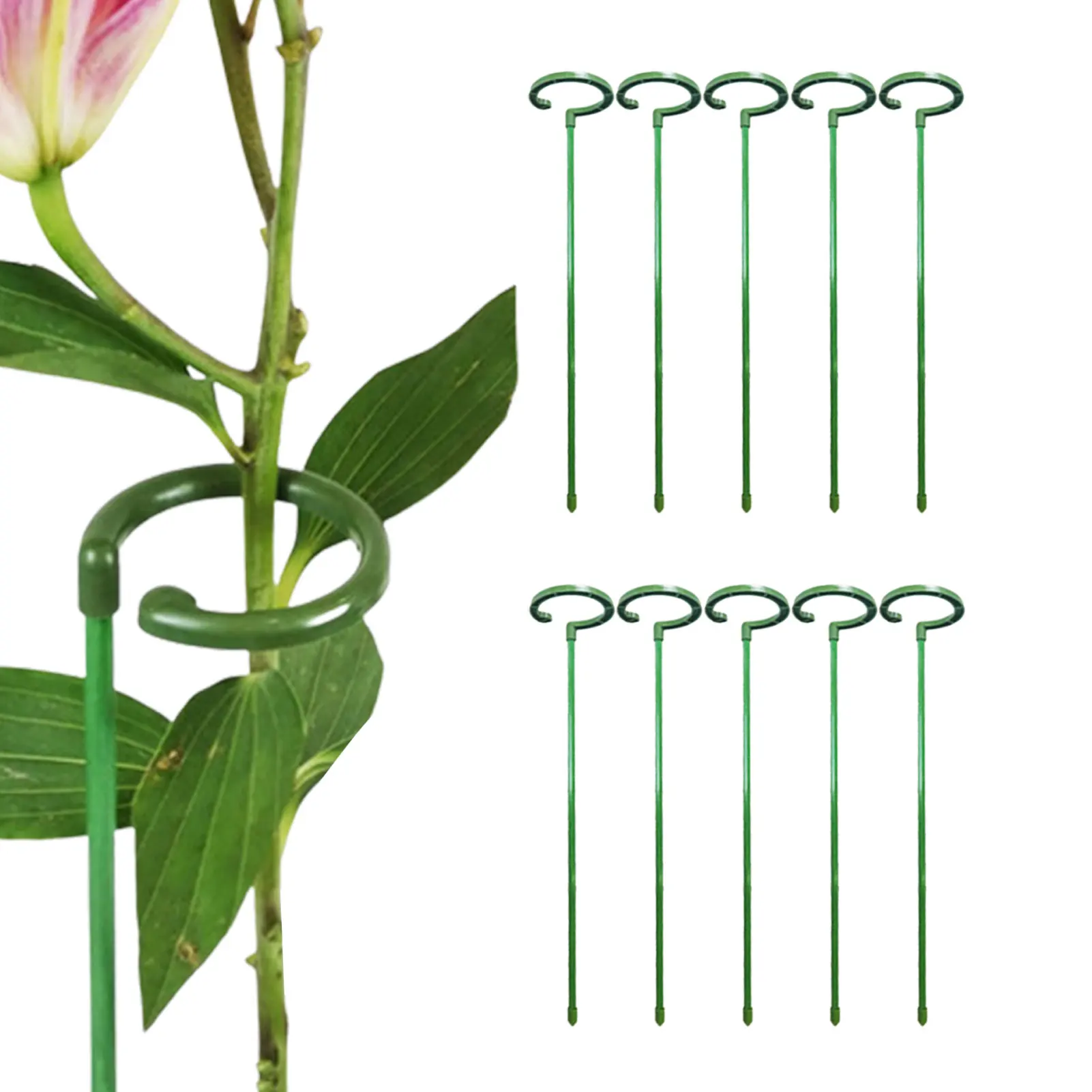 

10 шт., s-образные кольца для поддержки растений