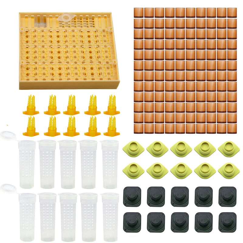 

1 Set Beekeeping Products King Queen Bee Rearing System Box Plastic Cup Cell Protection Cover Cage Apiculture Kit Bees Tools