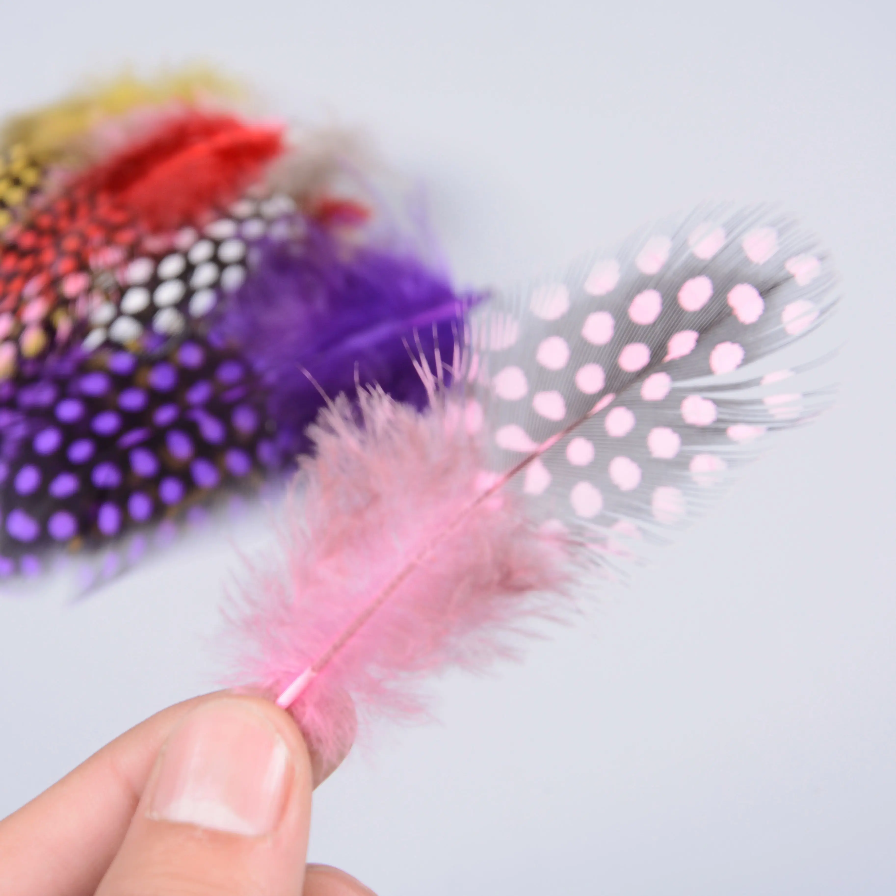 

100pcs/lot Guinea fowl feather Natural Pheasant feathers 5-8cm Jewelry accessories party Decor Plume Craft-Feather