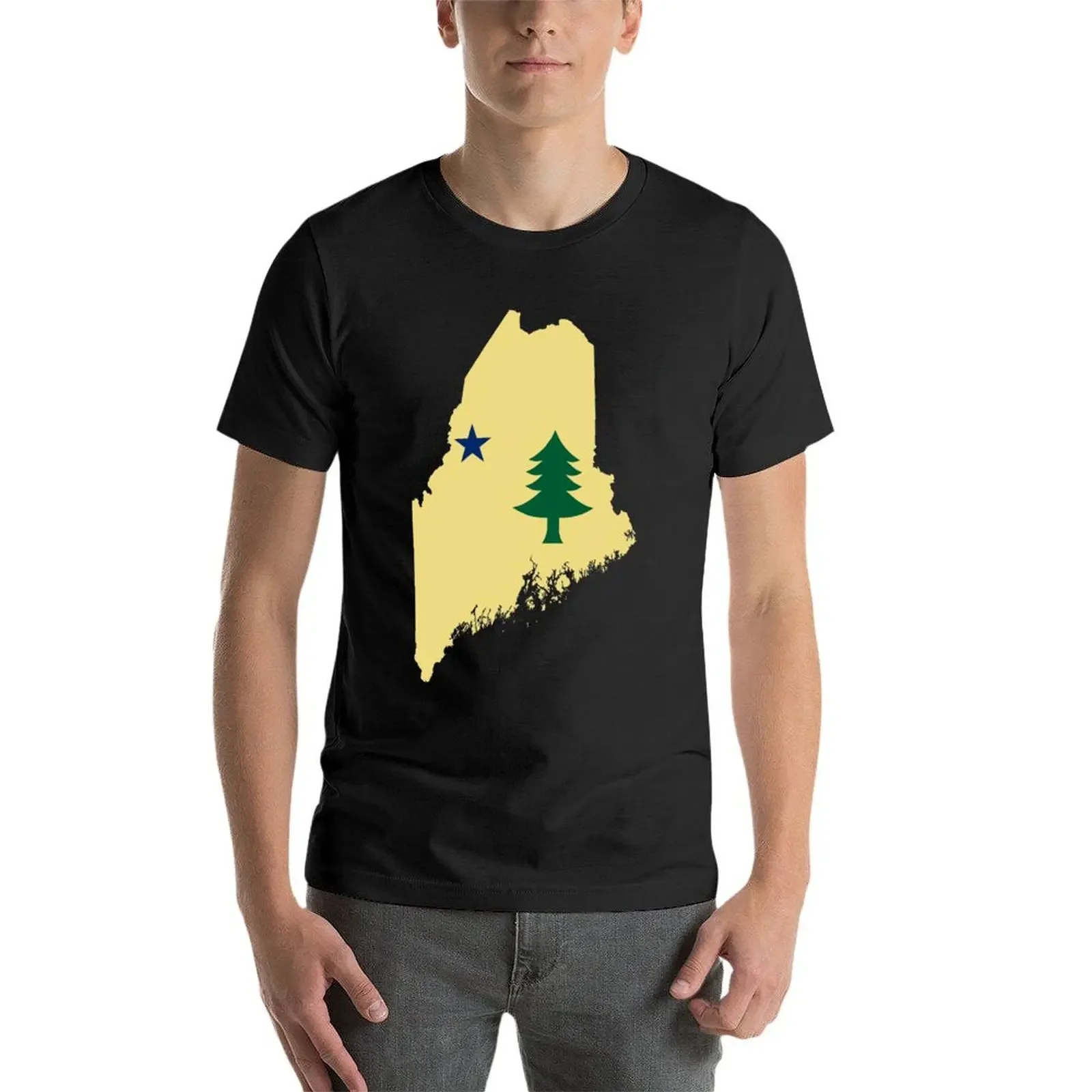 Флаг Мэн (1901–1909) на карте Мэн. Футболка. Дизайнерские рубашки. Топы больших