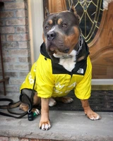 dog assault raincoat sweatshirt rain coat waterproof jacket assault clothes windbreaker puppy jersey summer hoodie pet supplies