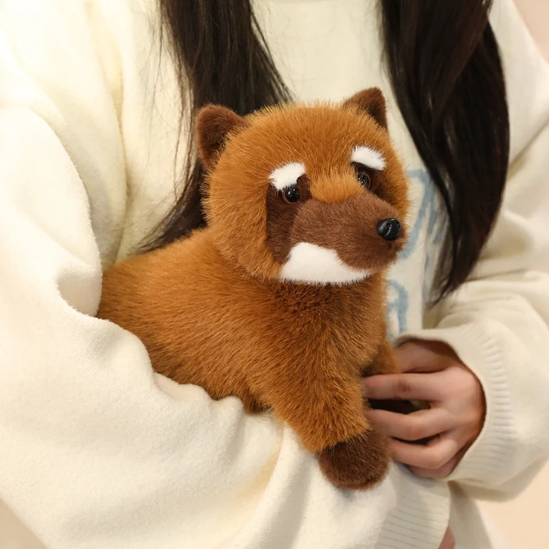 Фото Kawaii 53X25 см Coati плюшевая аниме-подушка Kawaii модная плюшевая кукла енот на плечо подушка для сна подарки для подруги №3