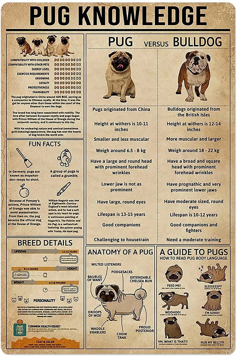 Тест на знание собак. Постер Мопс.