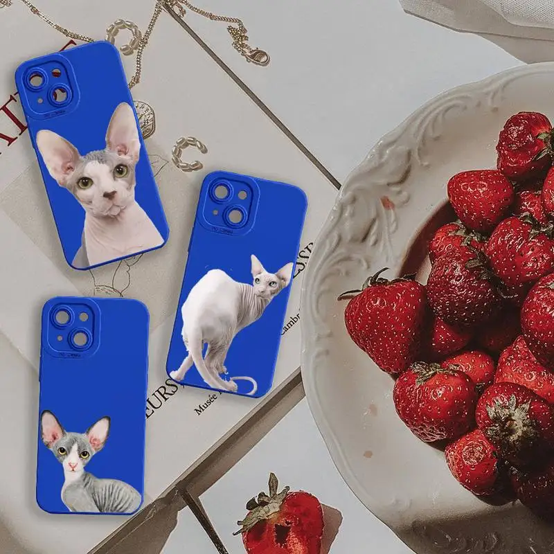 

Sphynx Hairless cat Phone Case For iPhone 13 12 11 Pro MAX Mini X XS XR 7 8 Plus Liquid Silicone Klein Blue