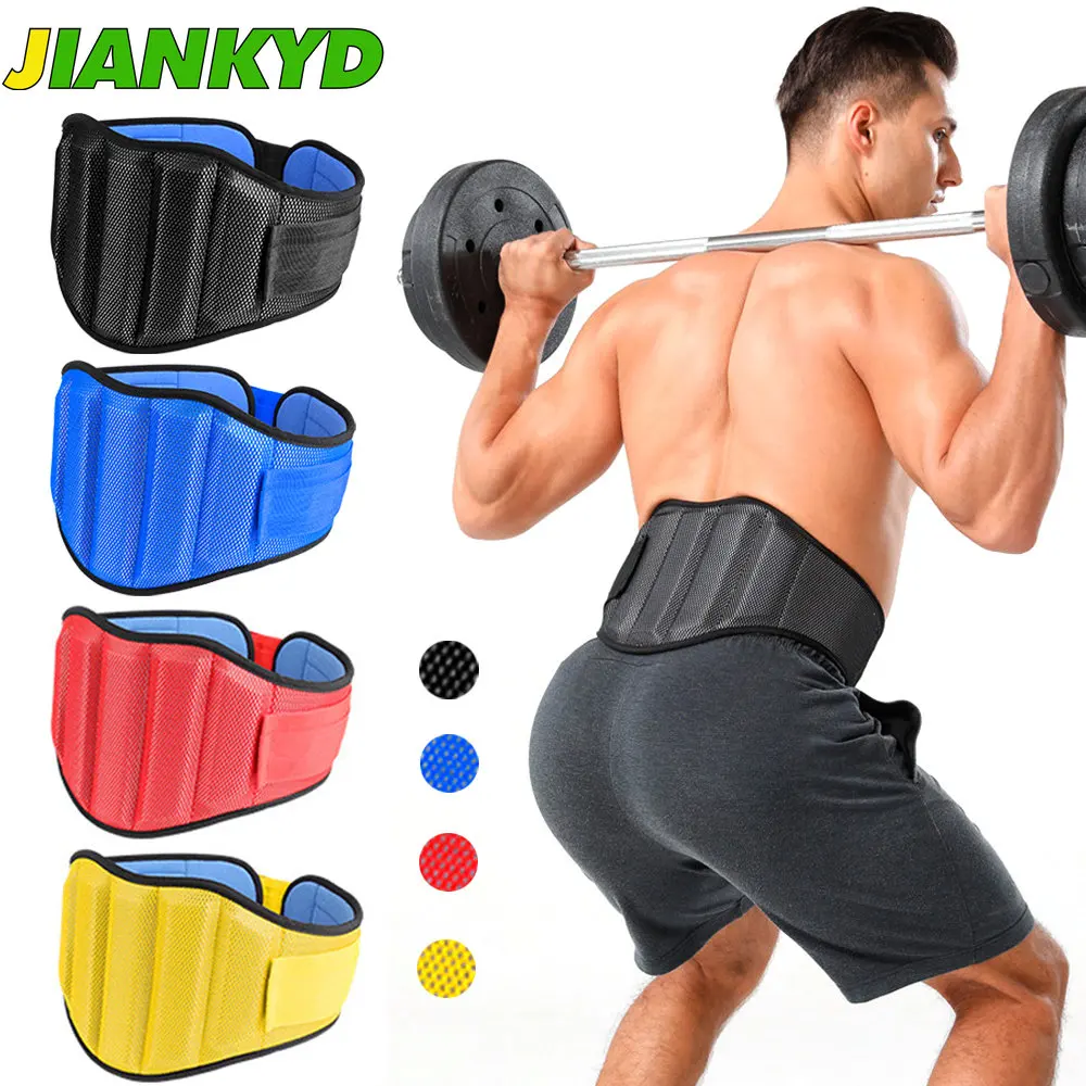 

Back Support Lower Back Brace Back Pain Relief Breathable Lumbar Support Belt for HeavyLifting Scoliosis Sciatica Herniated Disc