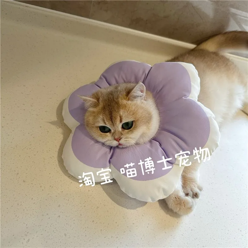 Солнцезащитный венок с изображением кошки милый кастрированный ошейник