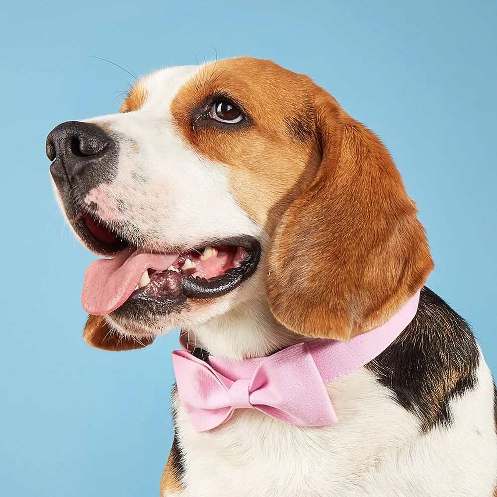 Регулируемый липучка для домашних животных формальный галстук смокинг