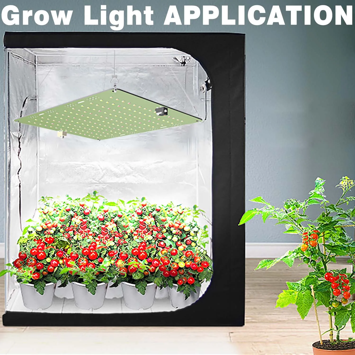 

Full Spectrum with UV and IR Dimmable LED Grow Light High PPFD Phyto Lamp for Indoor Greenhouse Plants Flower Seed Veg Blooming