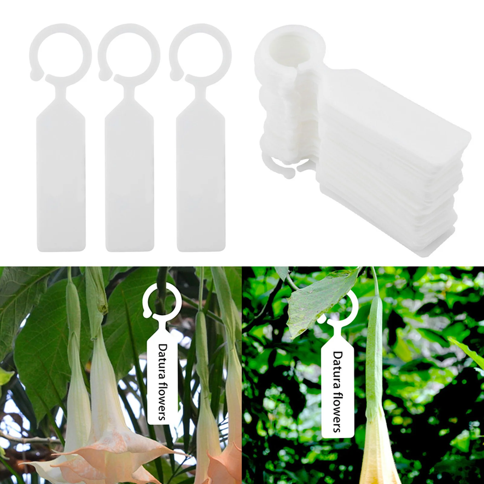 

100Pcs Hanging Plants Labels Ring Waterproof PVC Plants Tags Sign Plates for Plants Garden Potted Bonsai Tree Cane Vine Markers