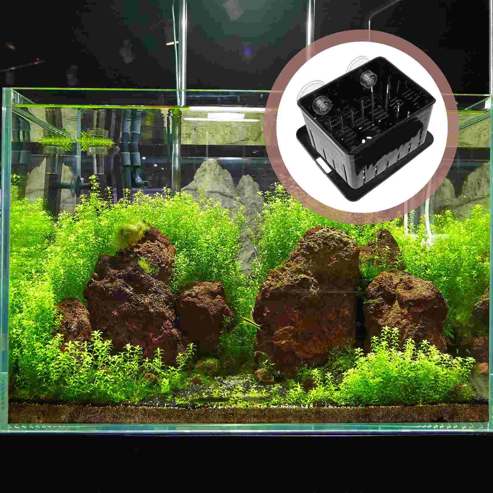 

Box Fish Breeder Breeding Aquarium Isolation Hatchery Tank Incubation Tortoise Separator Separation Tanks Acrylic Nursery