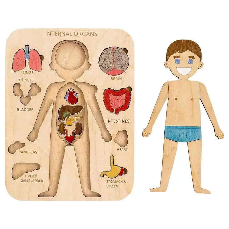 

Children Wooden Human Body Puzzle Anatomy Play Skeleton Toy Body Structure Montessori Jigsaw Puzzles Preschool Learning