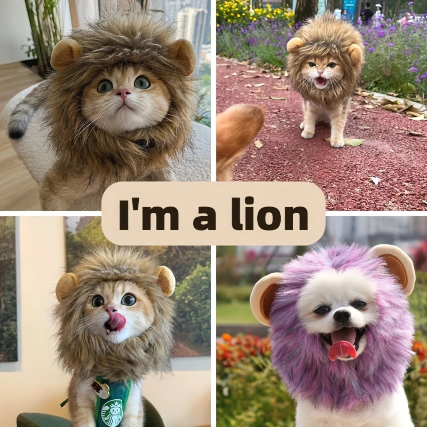 Halloween Cat Toys Cute Lion Mane Wig Hat For Dogs And Cats Pet Decor Accessories