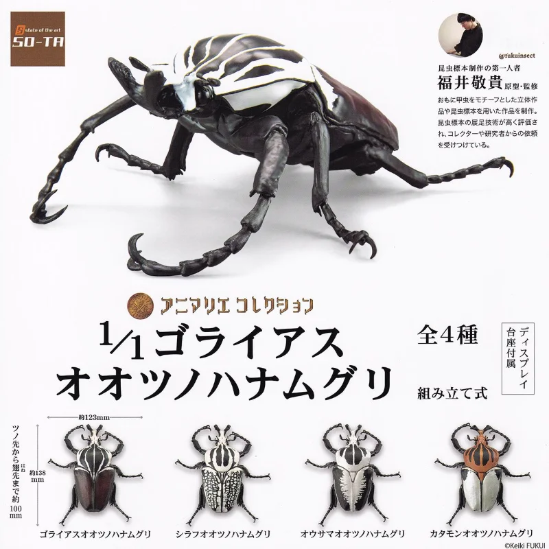 

Original SO-TA Gashapon Capsule Toys Kawaii Cute 1/1 Insect Flower Beetle Assembly Action Figures Gachapon