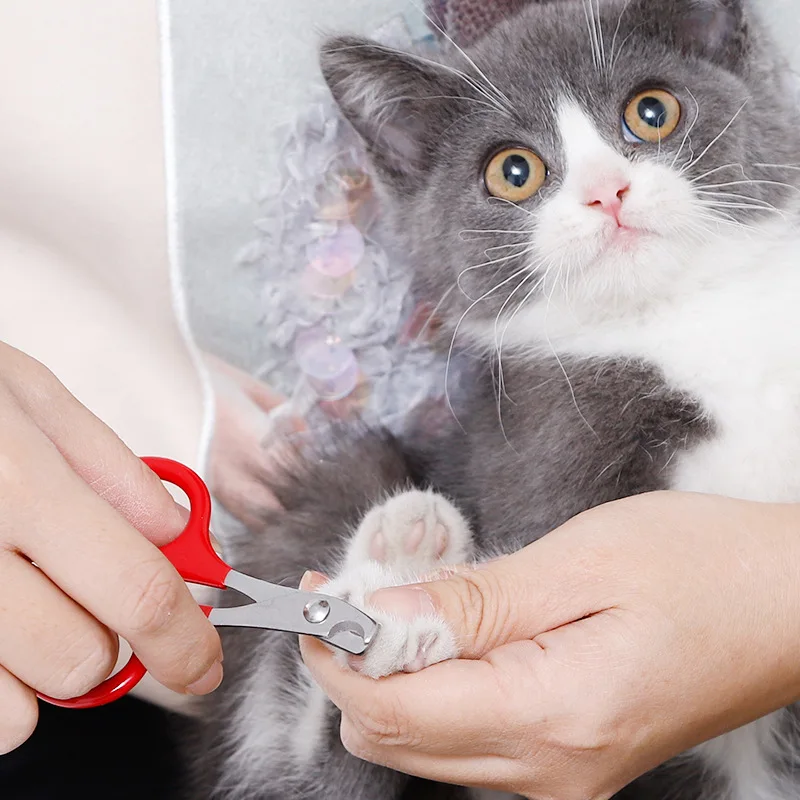 

Cat Nail Clippers For Small Kitten Professional Puppy Claws Cutter Pet Nails Scissors Trimmer Grooming And Care Cat Accessories