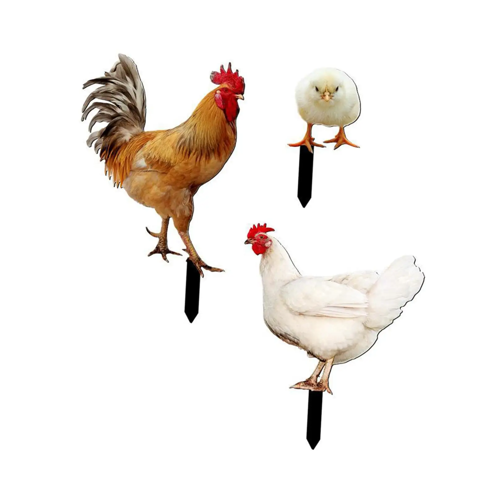 

Acrylic Roosters Signs Realistic Chicken Sculpture Plastic Animal Stakes 3 Pcs Yard Stakes for Patio Home Pathway Courtyard Lawn