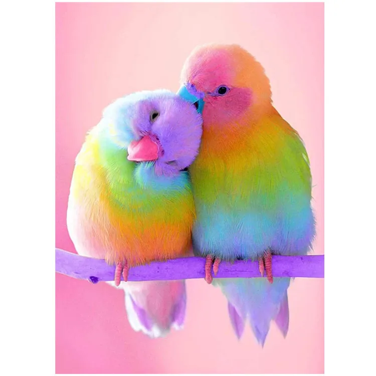 

3477Ann-Tulip diy digital oil painting oil painting acrylic flower painting explosion hand-filled landscape painting