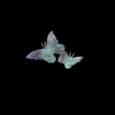 Нашивка из материала ручной работы с резным улиткой насекомое чистой