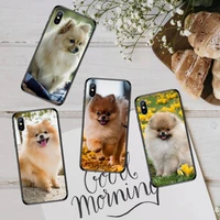 pomeranian cute dog phone case for iphone 12 11 13 7 8 6 s plus x xs xr pro max mini shell