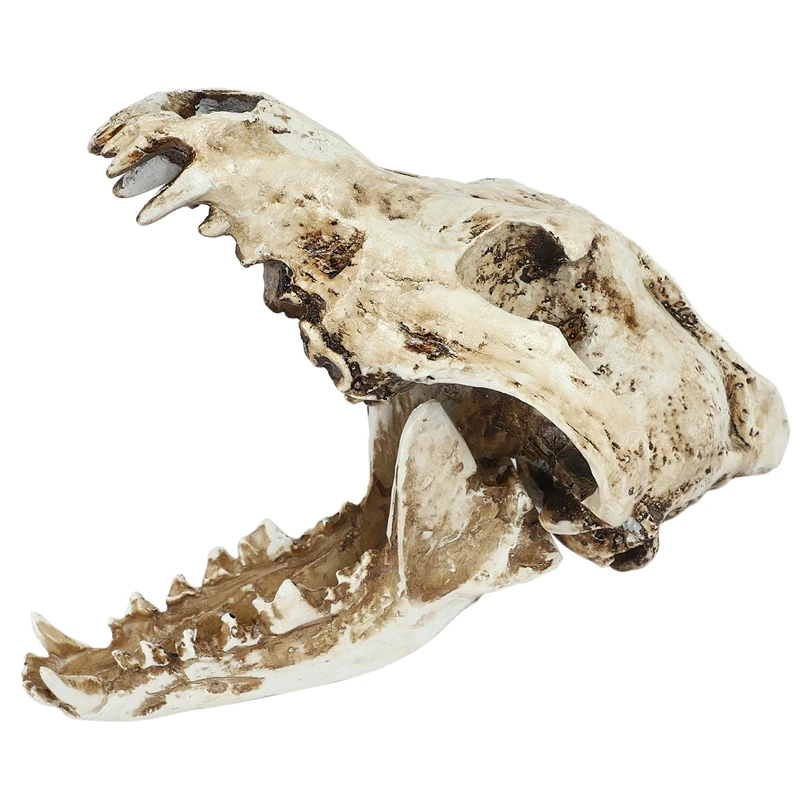 Креативная копия каучукового черепа Реплика учительской модели скелета