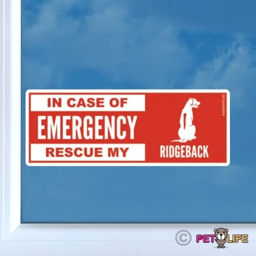 

Наклейка с надписью «My Rhodesian Ridgeback» для экстренного спасения