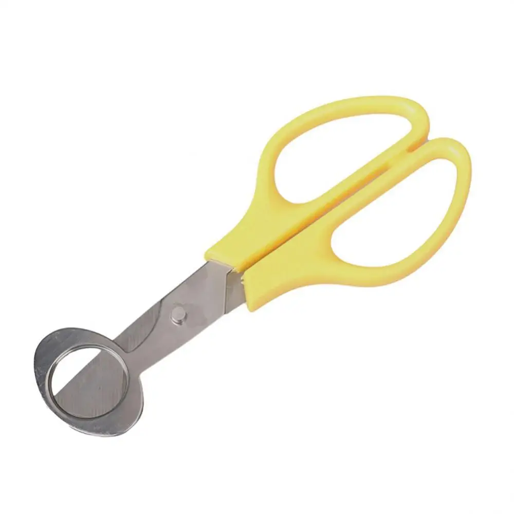 Рисунок 5 - Креативный венчик для яиц из нержавеющей стали