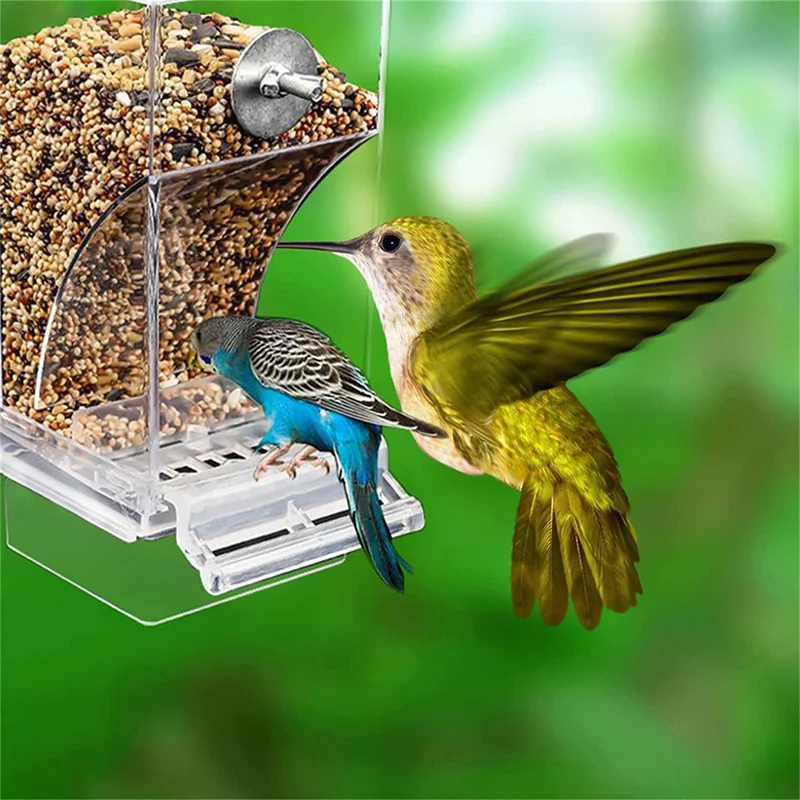 S Automatic Parrot Feeder Drinker Acrylic Seed Food Containe