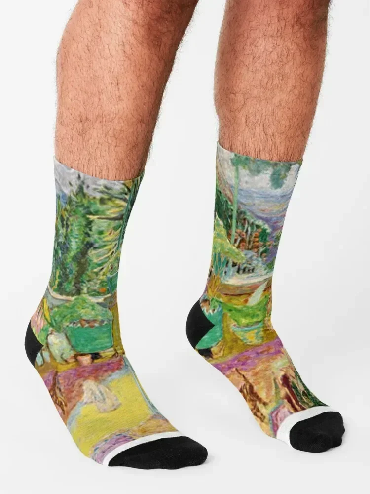 Pierre Bonnard - The Terrace at Grasse Носки забавный подарок Чулки мужские Аргентина Женские