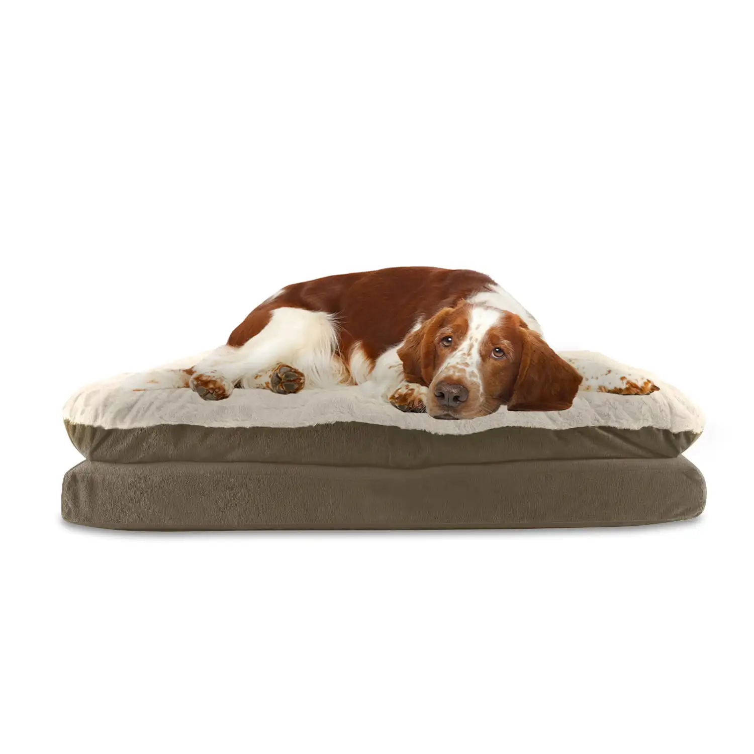 

Arlee Pillow Topper Rectangle Pet Dog Bed - Orthopedic Therapeutic - Large/Extra Large (choose your color)
