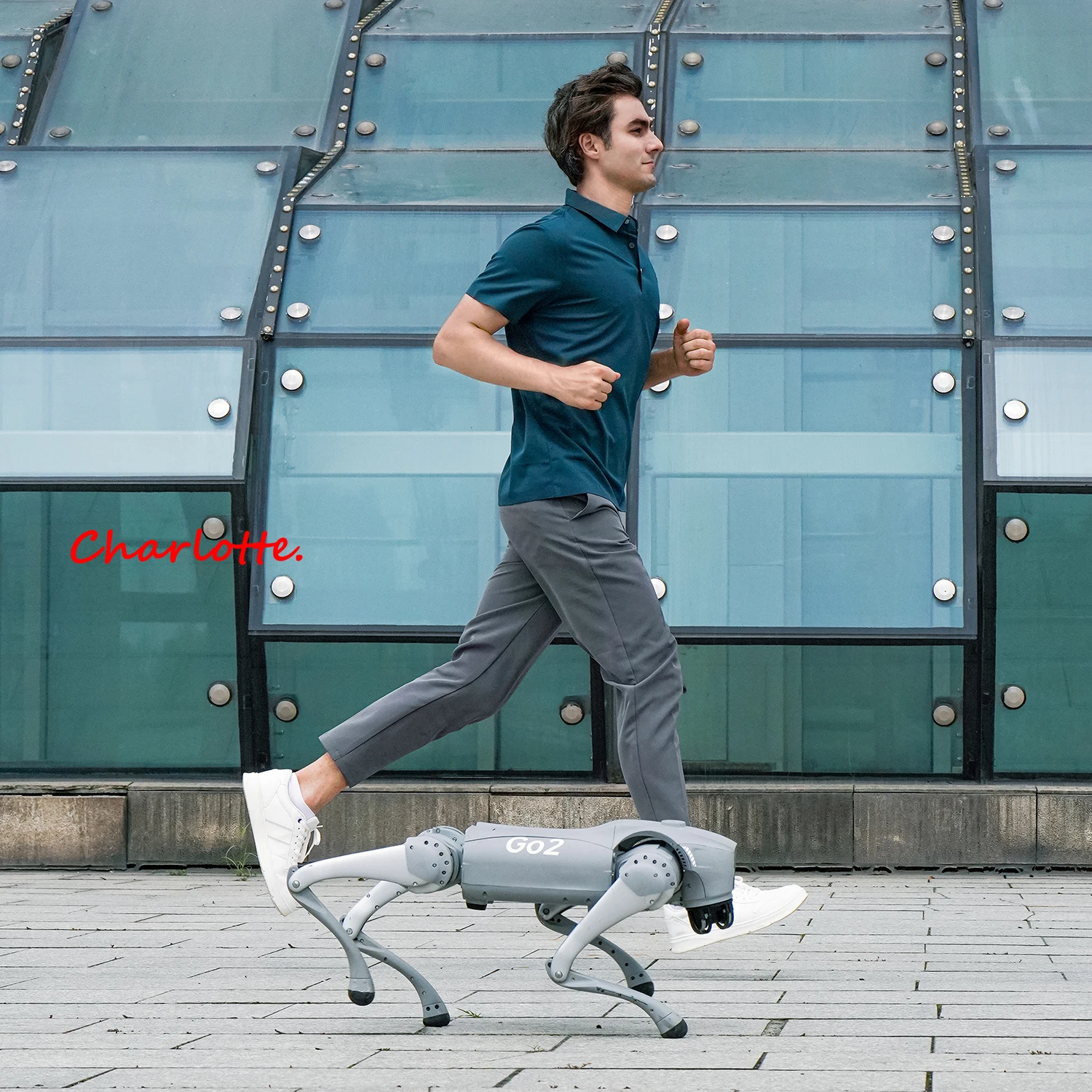 Фото Робот-собака Unitree Go2: четвероногая робототехника для взрослых с воплощенным ИИ (Go2 Air) №5