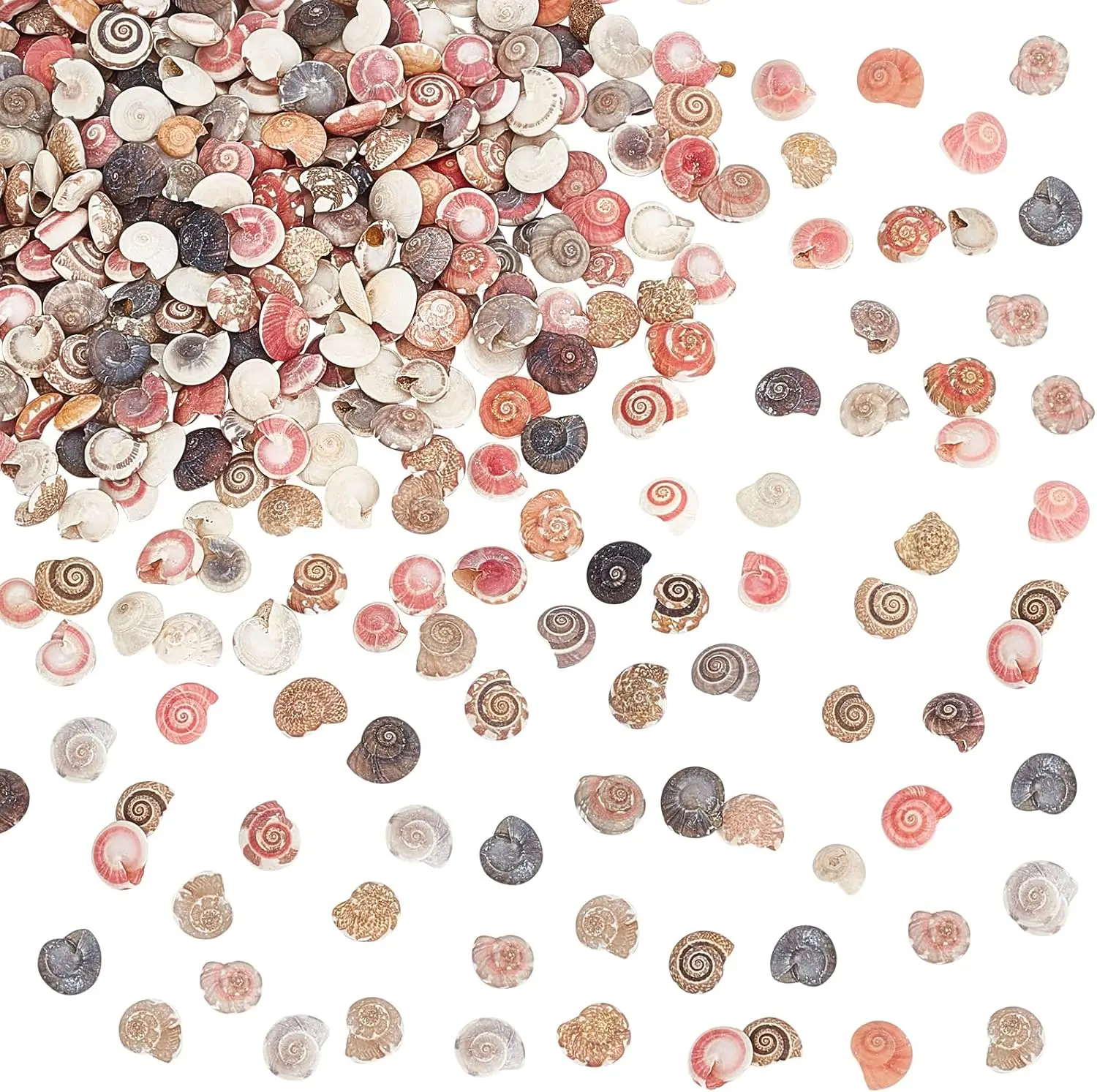 

Морские ракушки для рукоделия 190г