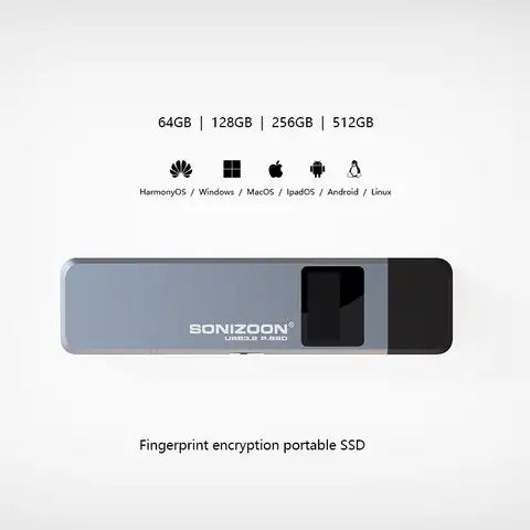 Портативный SSD-накопитель с функцией шифрования отпечатков пальцев, 128/256/512 Гбит/с, Твердотельный накопитель USB TPYEC3.2, флеш-накопитель USB3.2