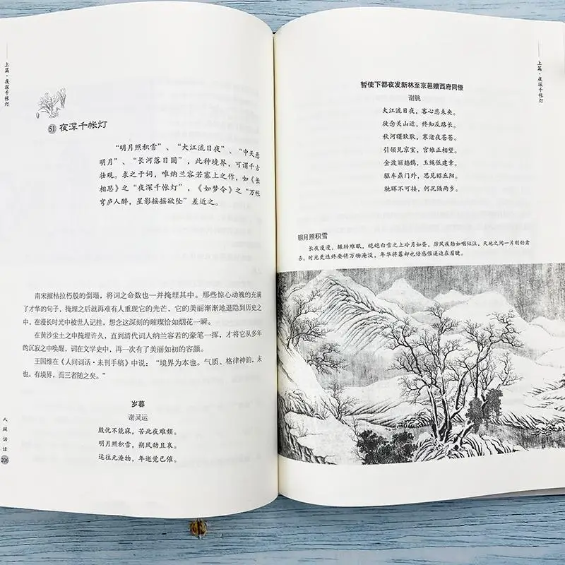 Рисунок 5 - Книга китайской классической литературы