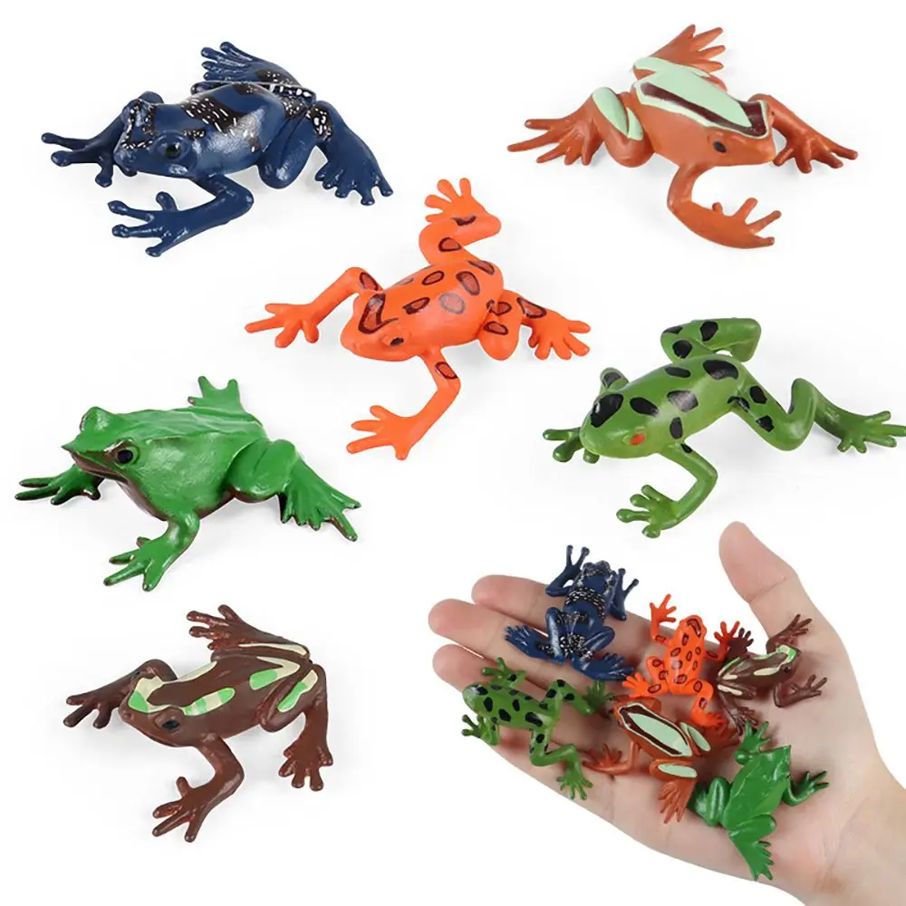 

Scene Early Learning Micro Landscape Simulation Toad Figurine Lifelike Frogs Model Educational Toys Amphibious Animal