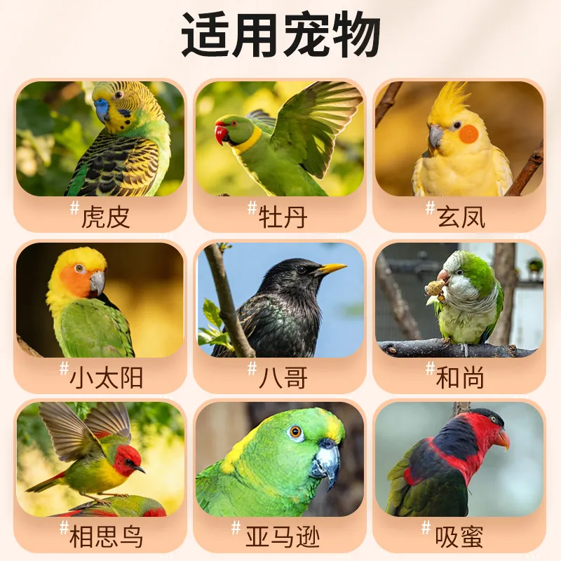 Клетка для птиц Parrot Special, большая, для скворцов, жемчужных манчхинов, тростниковок, с вышивкой, для птиц с тигровым оперением, для птиц Xuanfeng, пурпурно-красных птиц, для маленьких солнечных птиц (art.: 3920dbfa3e1e7) - 3920dbfa3e1e7