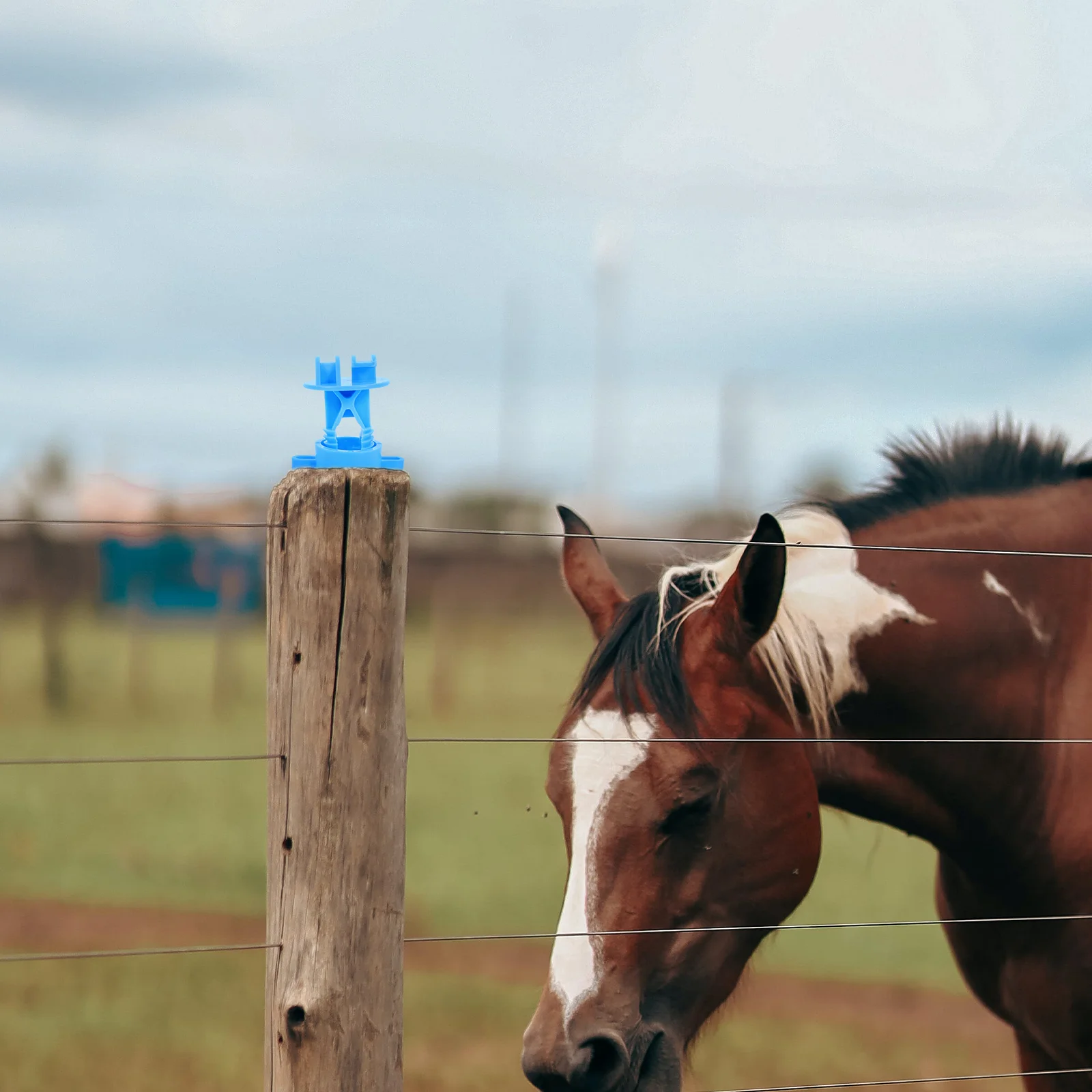 50 шт. изолятор для забора аксессуары фермы зажимы проводов изоляторы скота