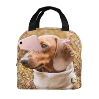 dog on the field lunch bag portable insulated thermal cooler bento lunch box tote picnic storage bag pouch